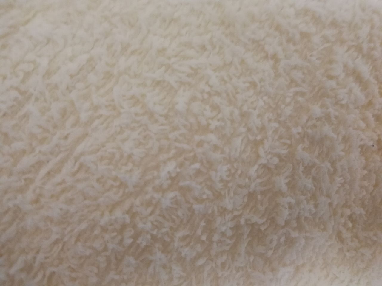 20190416_280380_1555393037543.jpg