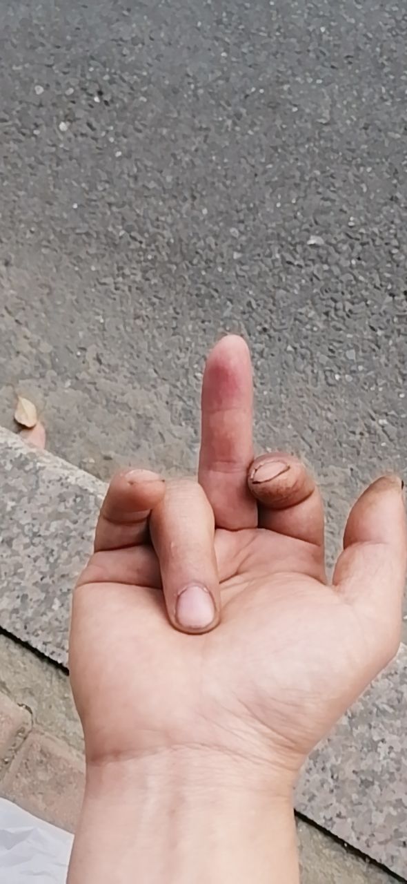 20190416_311642_1555407404009.jpg