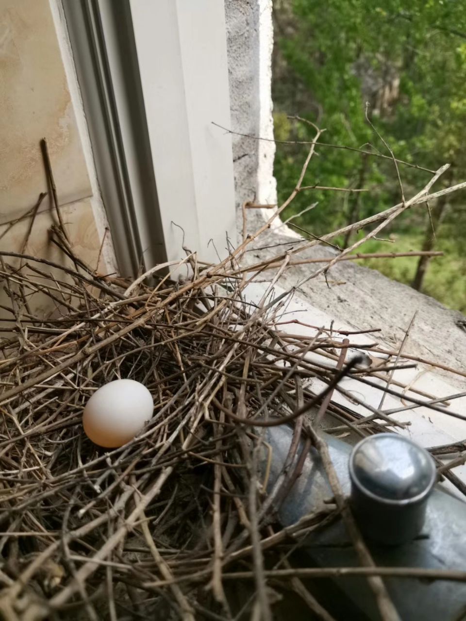 20190417_310614_1555493940355.jpg