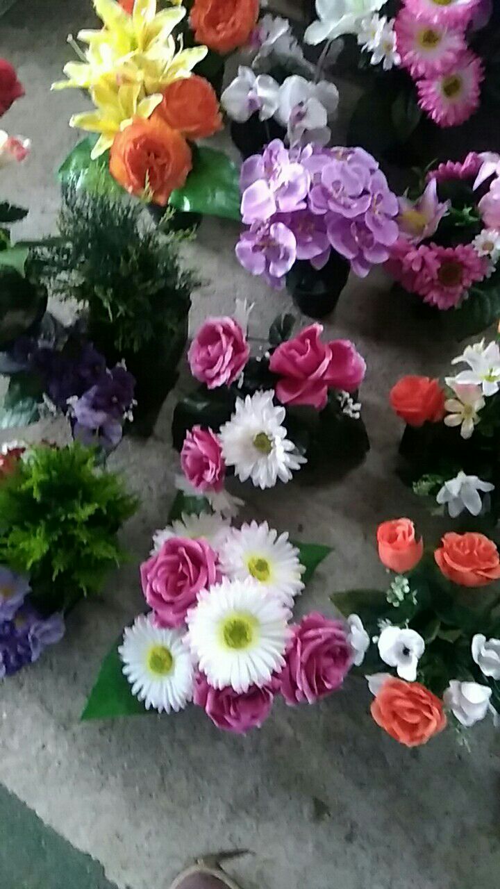 20190417_221835_1555509634399.jpg