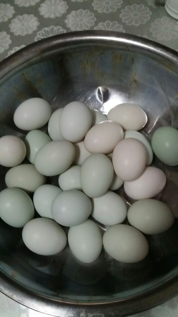 20190418_252099_1555587829041.jpg