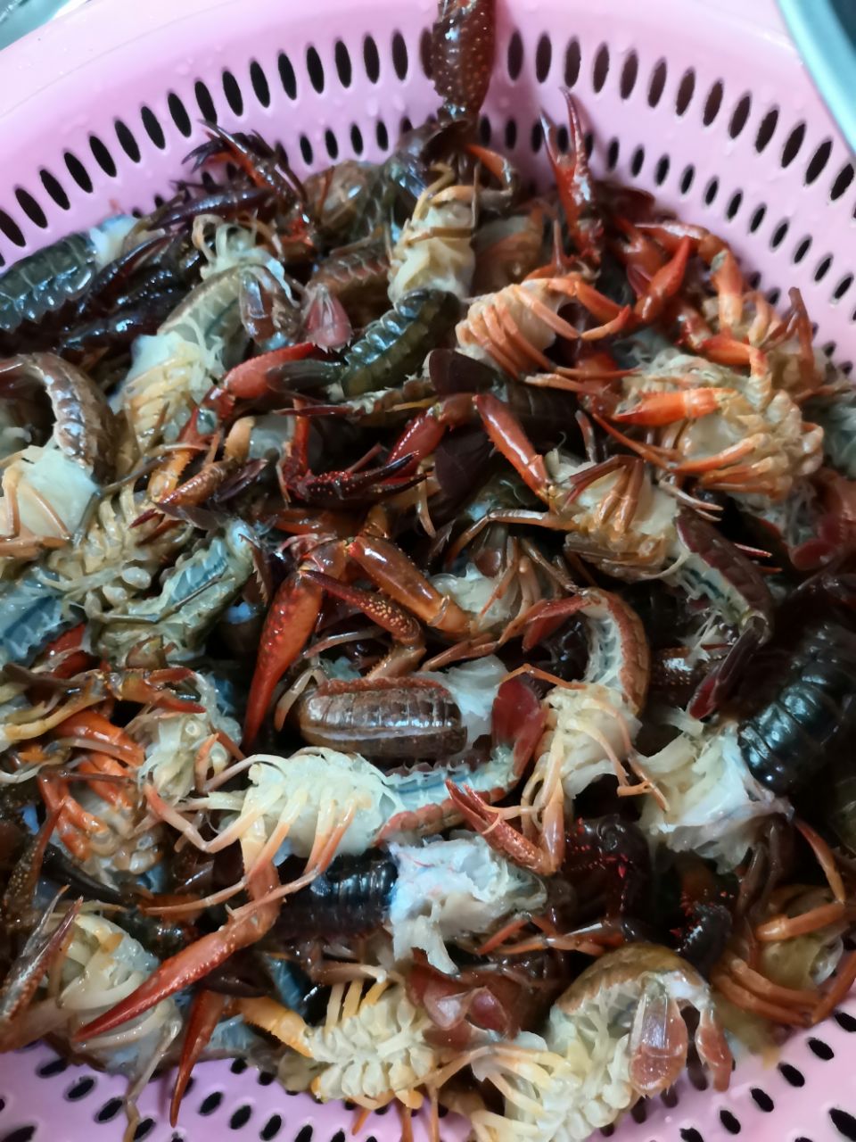 20190421_317227_1555852526857.jpg