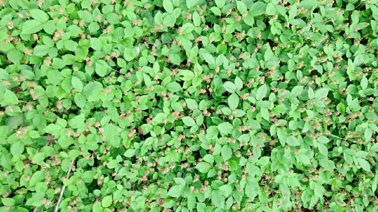 20190422_258600_1555936014437.jpg