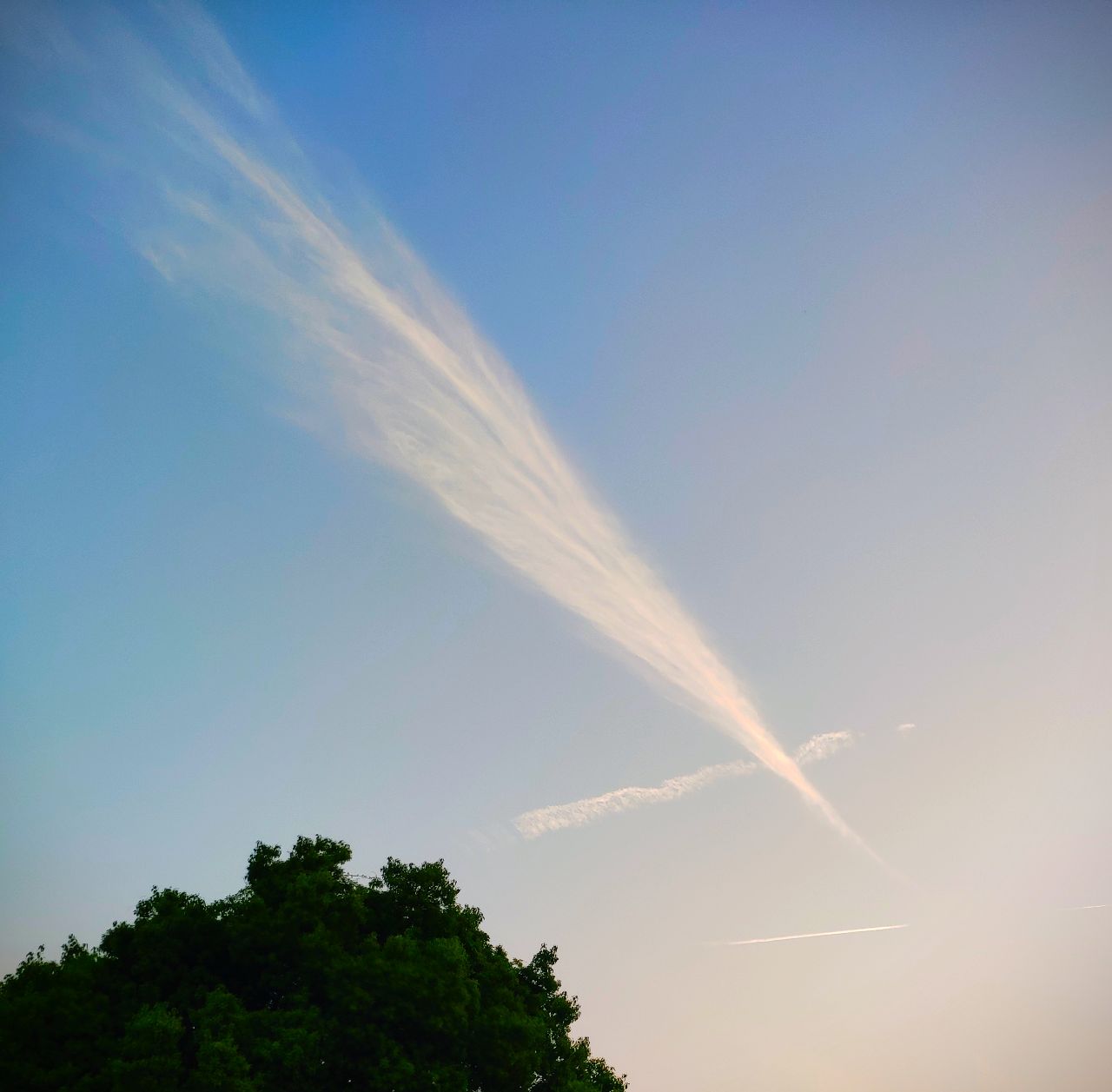 20190424_235798_1556106341808.jpg
