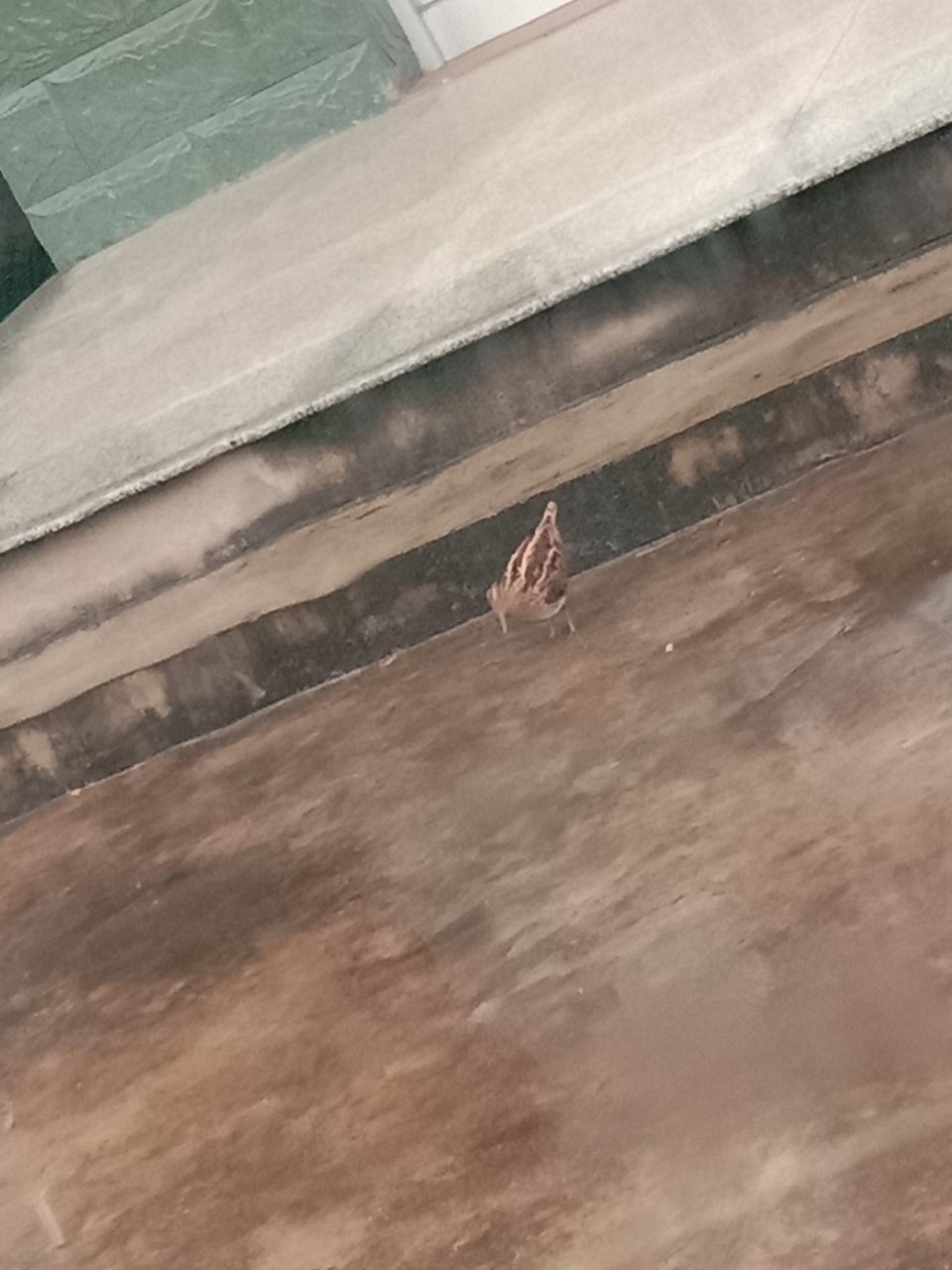 20190429_19479_1556502902331.jpg