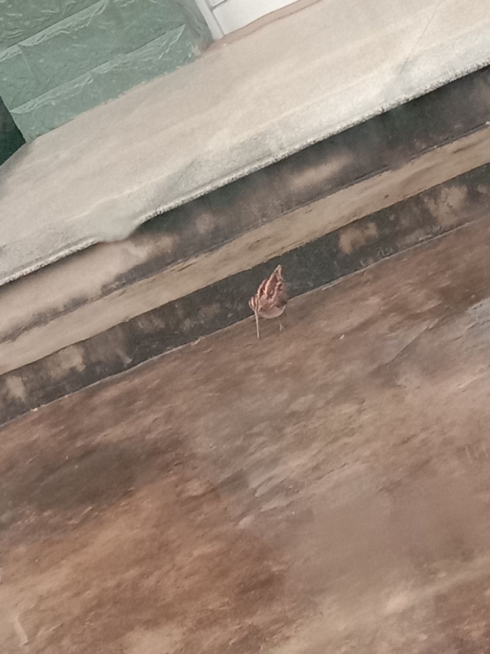 20190429_19479_1556502902635.jpg