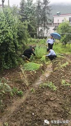 微信图片_20190430084216.jpg