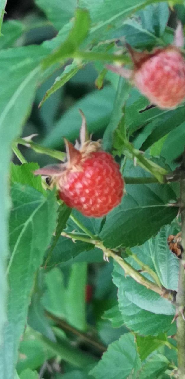 20190501_307554_1556711876569.jpg