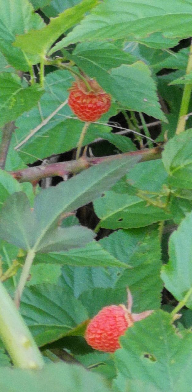 20190501_307554_1556711876678.jpg