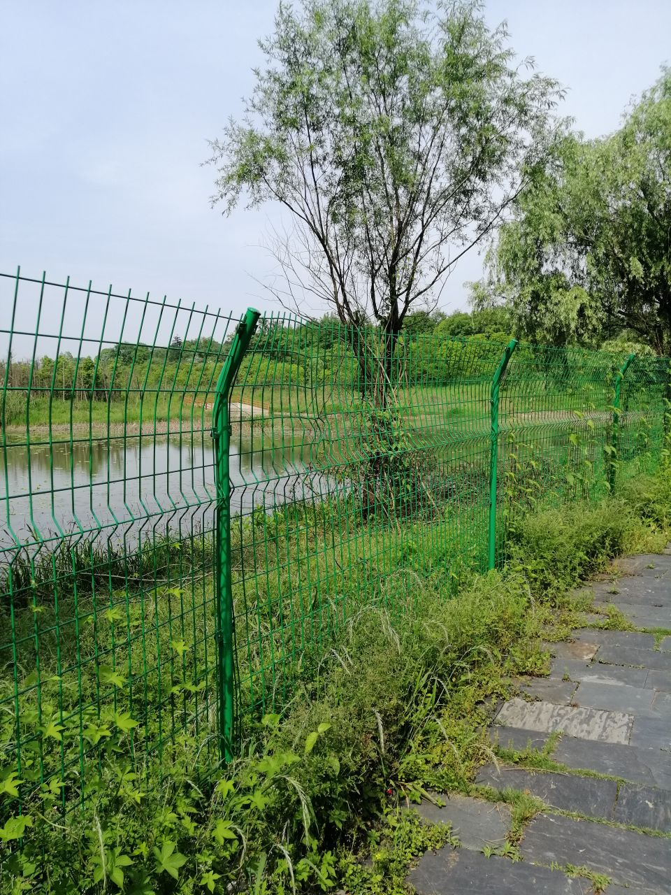 20190502_238941_1556781127506.jpg