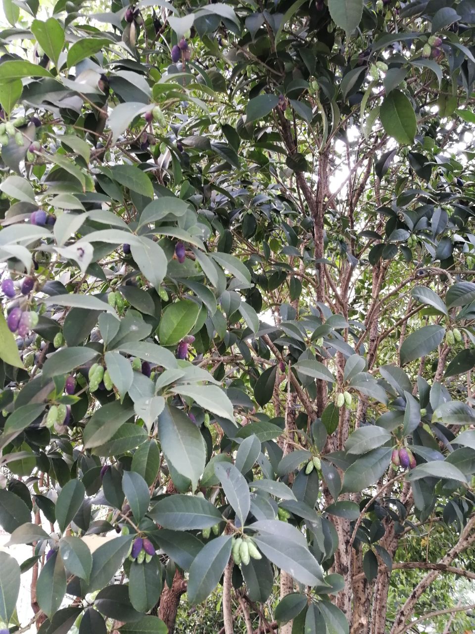 20190502_39967_1556790616655.jpg