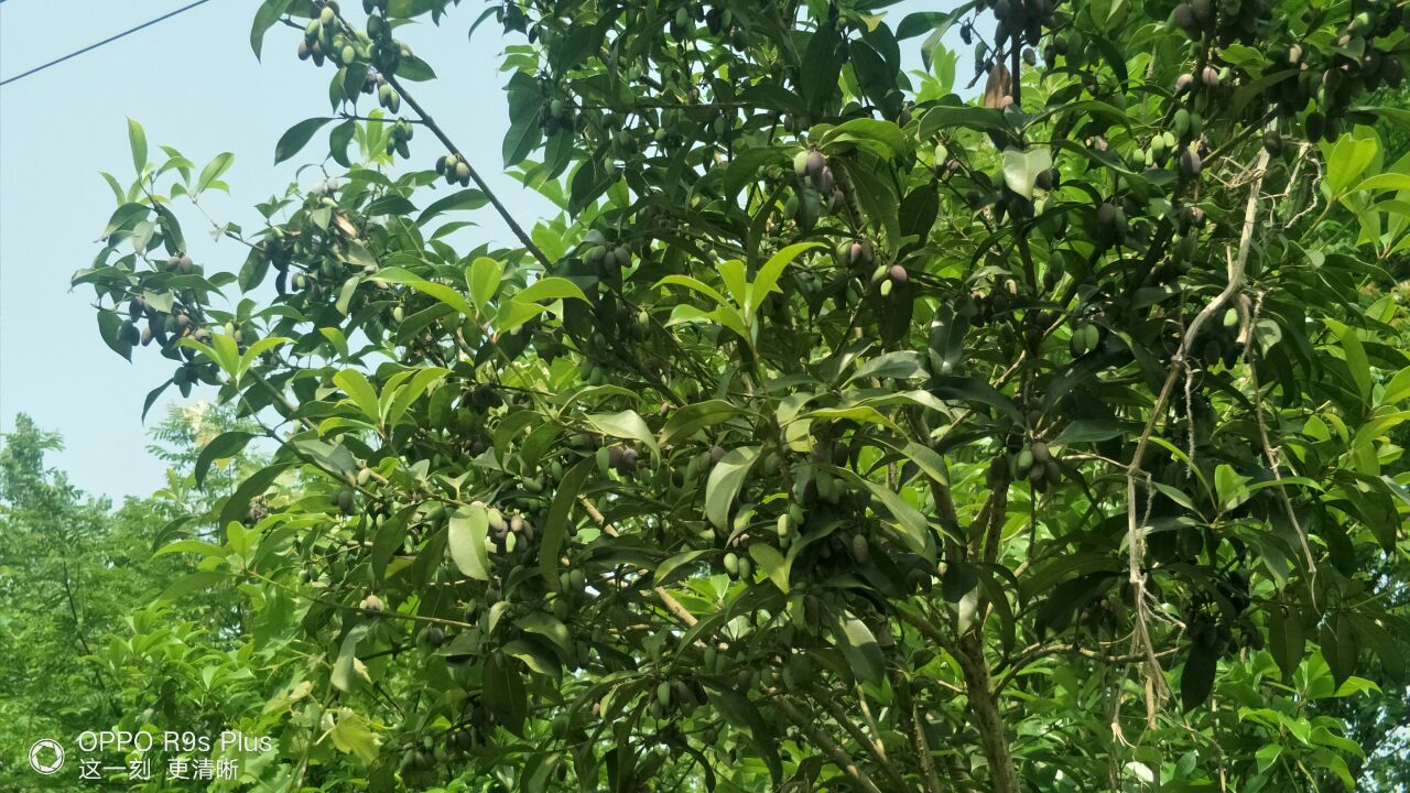 20190502_177201_1556812297577.jpg
