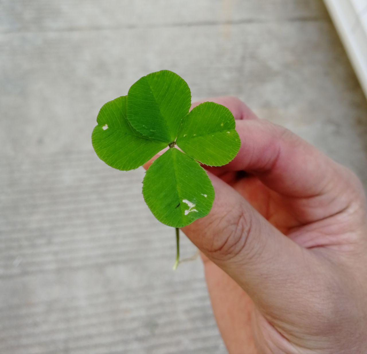 20190503_299781_1556874751401.jpg