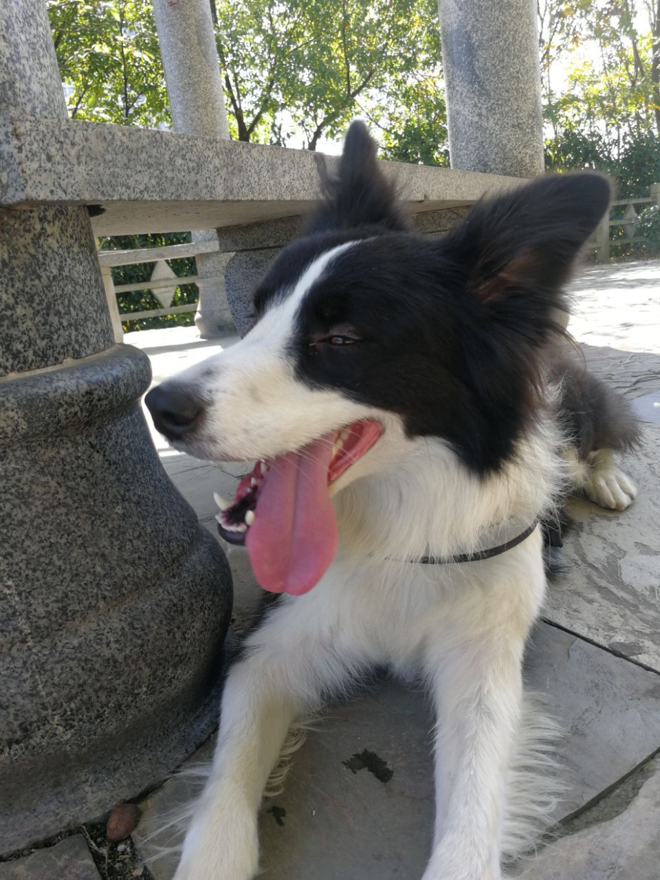 20190504_272334_1556934586993.jpg