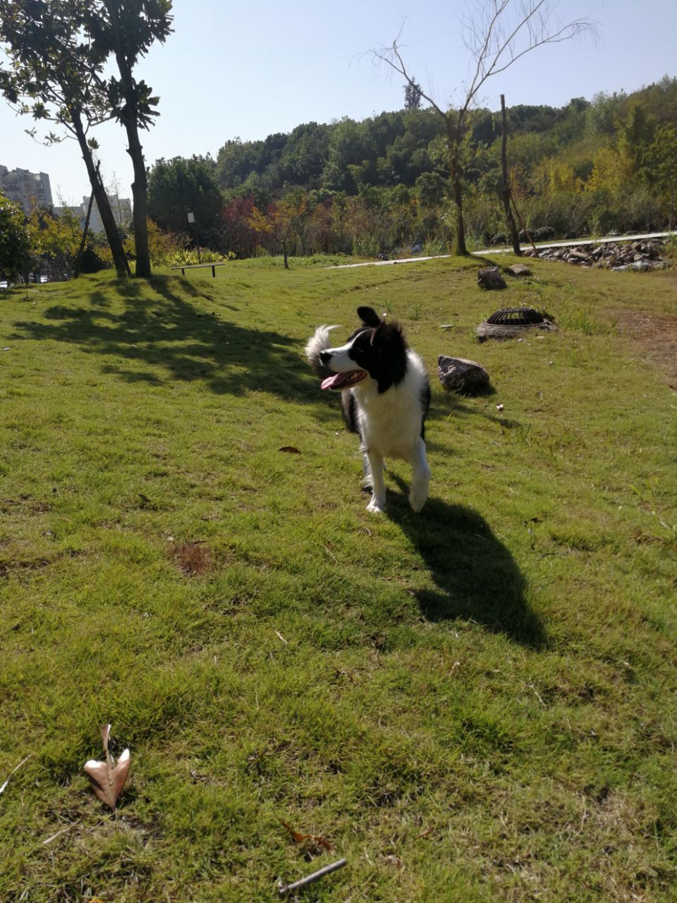 20190504_272334_1556934587442.jpg