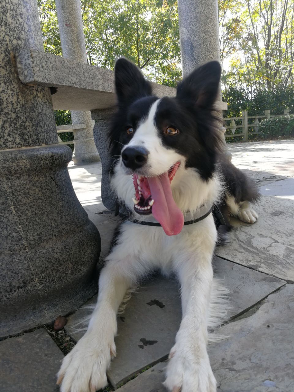 20190504_272334_1556934587221.jpg