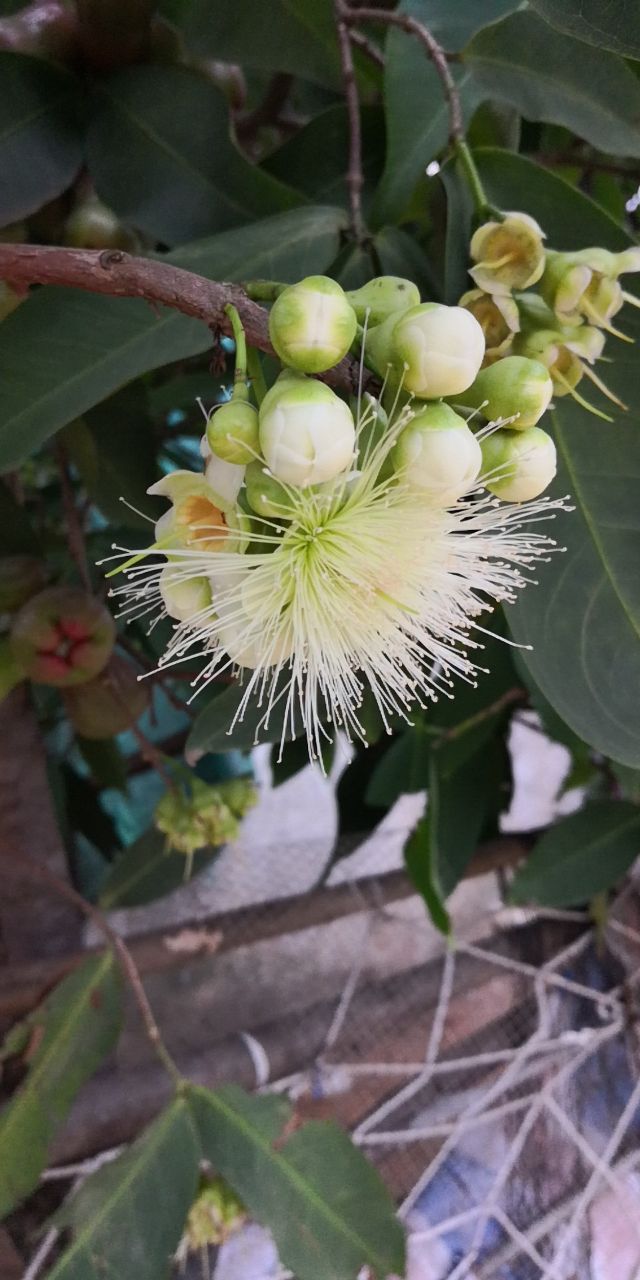 20190507_232928_1557229308006.jpg