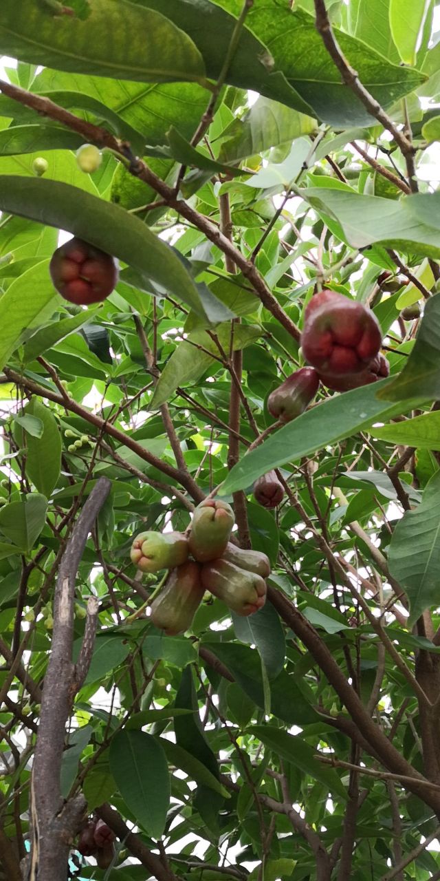 20190507_232928_1557229308076.jpg