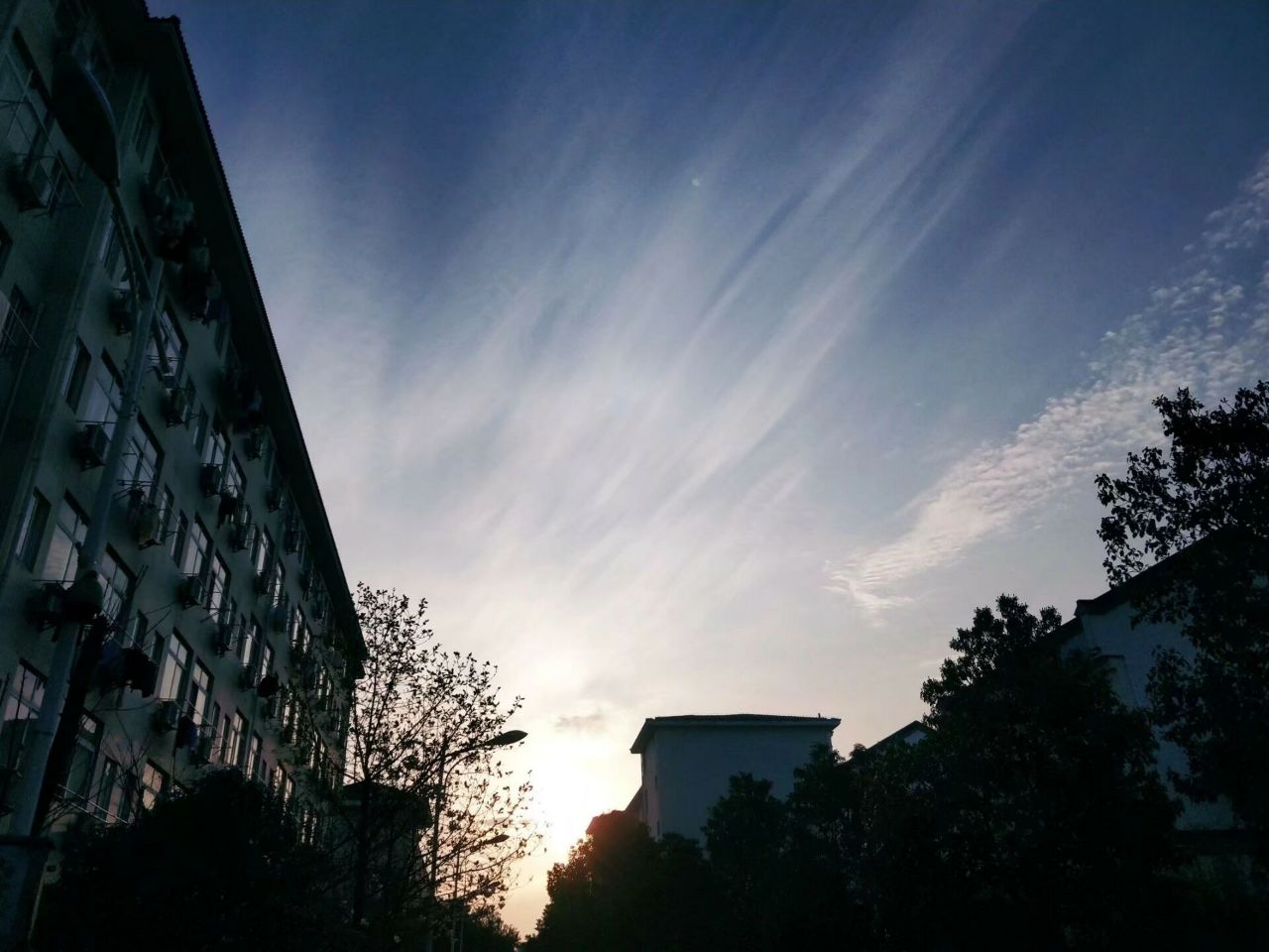 20190507_319493_1557236101294.jpg
