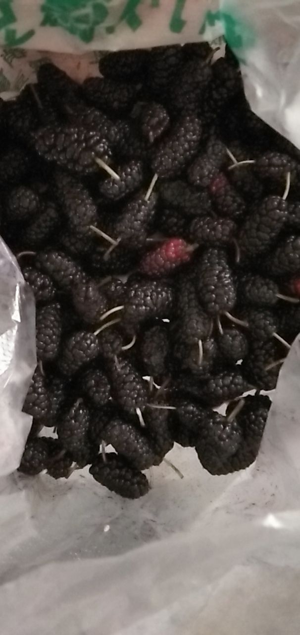 20190508_142395_1557309392890.jpg