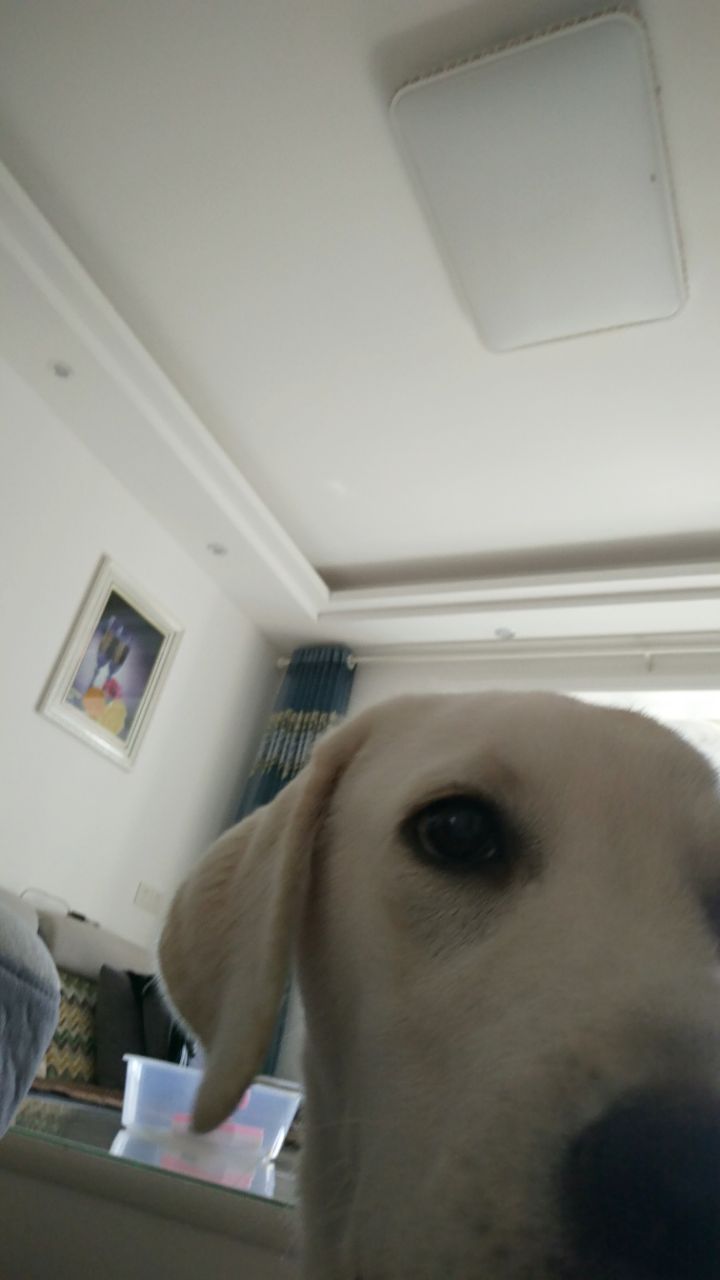 20190511_319717_1557563212897.jpg