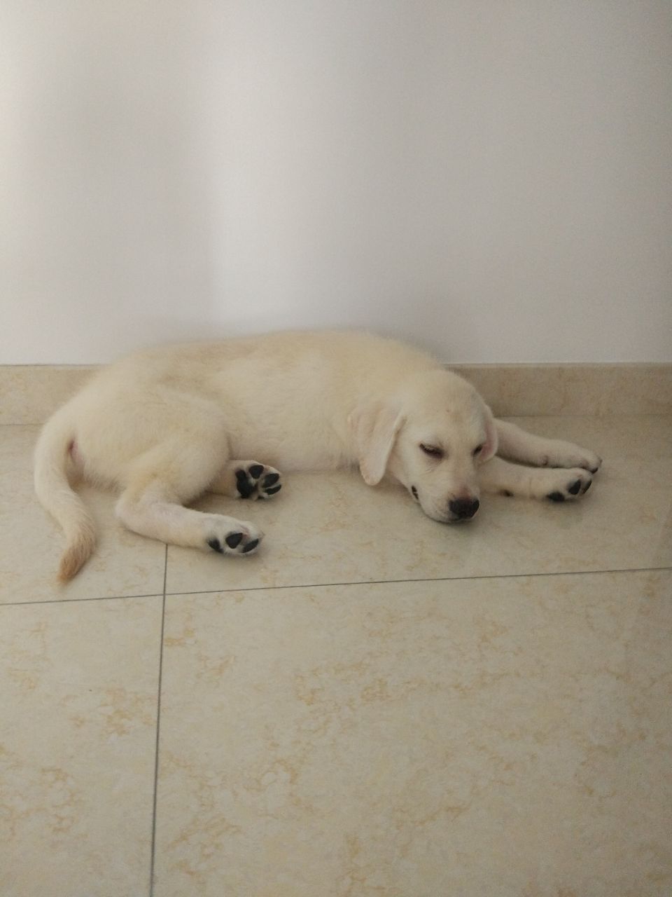 20190511_319717_1557563214057.jpg