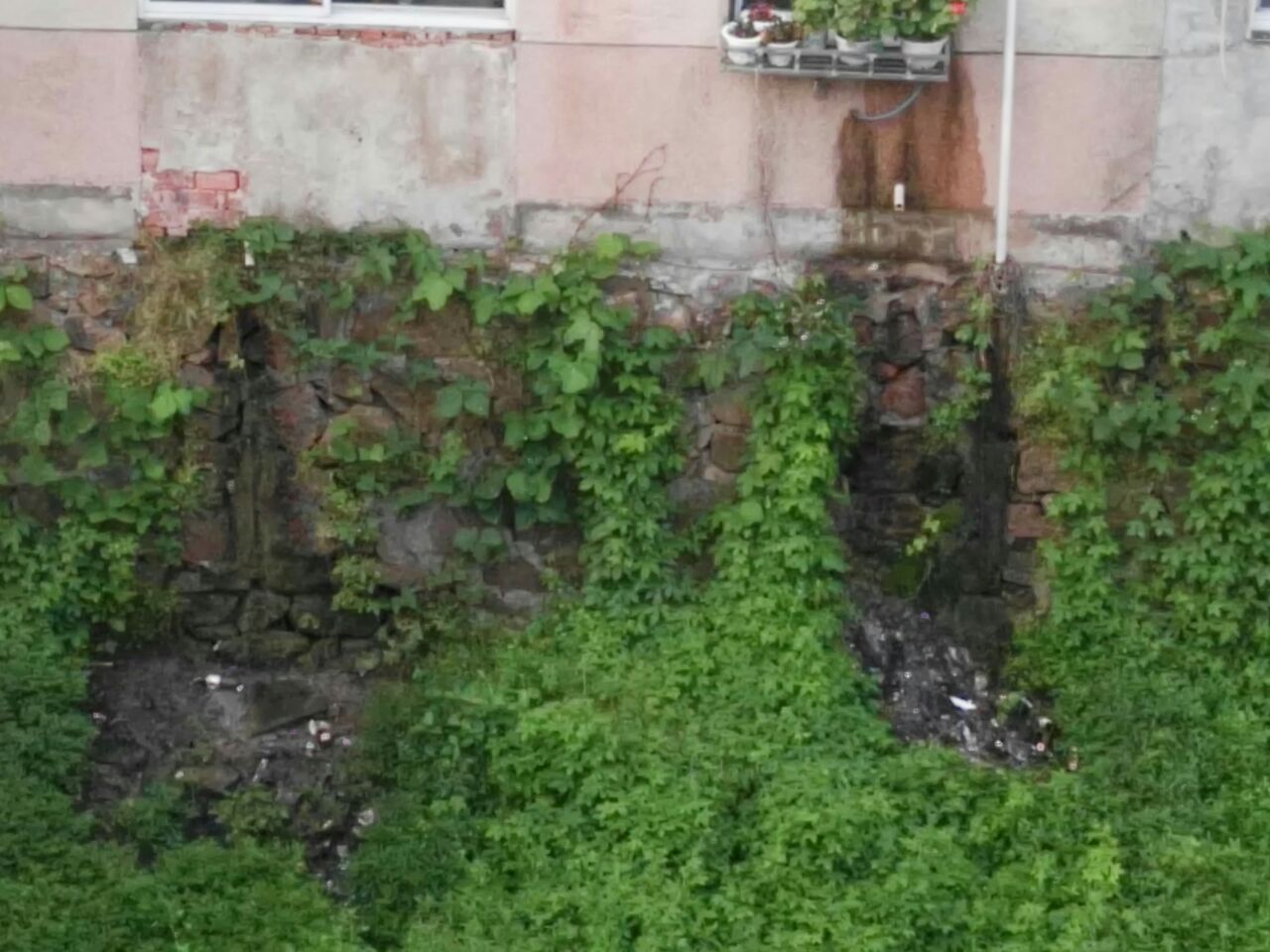 20190513_319745_1557699681059.jpg