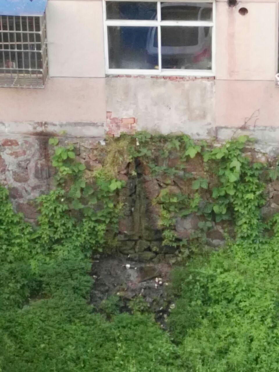 20190513_319745_1557699682113.jpg