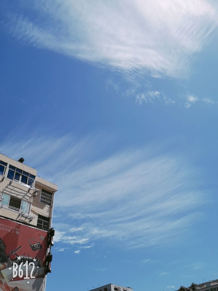 20190515_279608_1557890752643.jpg
