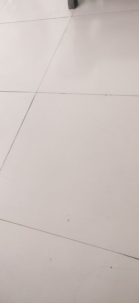 20190521_319228_1558408562884.jpg