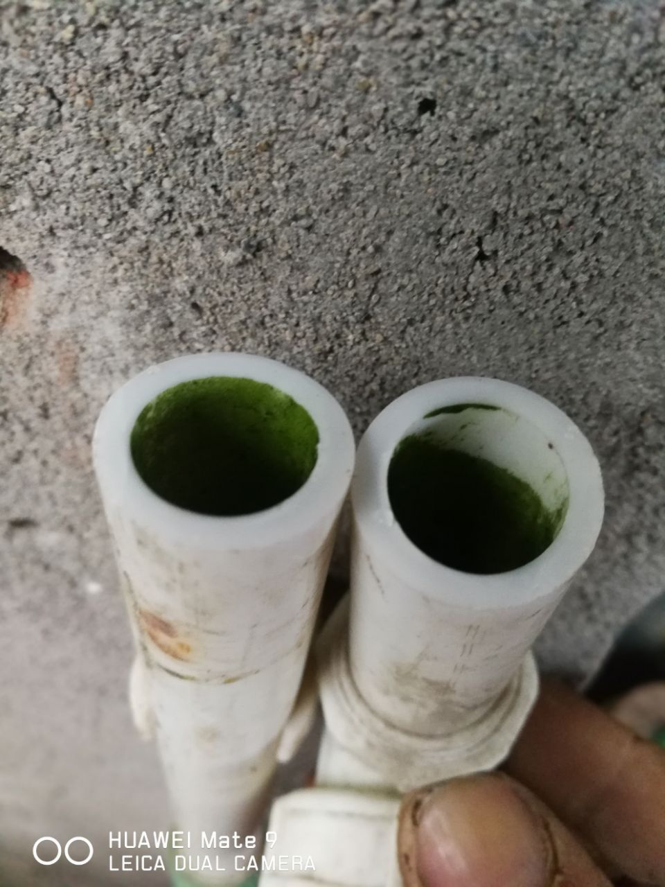 20190522_306501_1558504458479.jpg