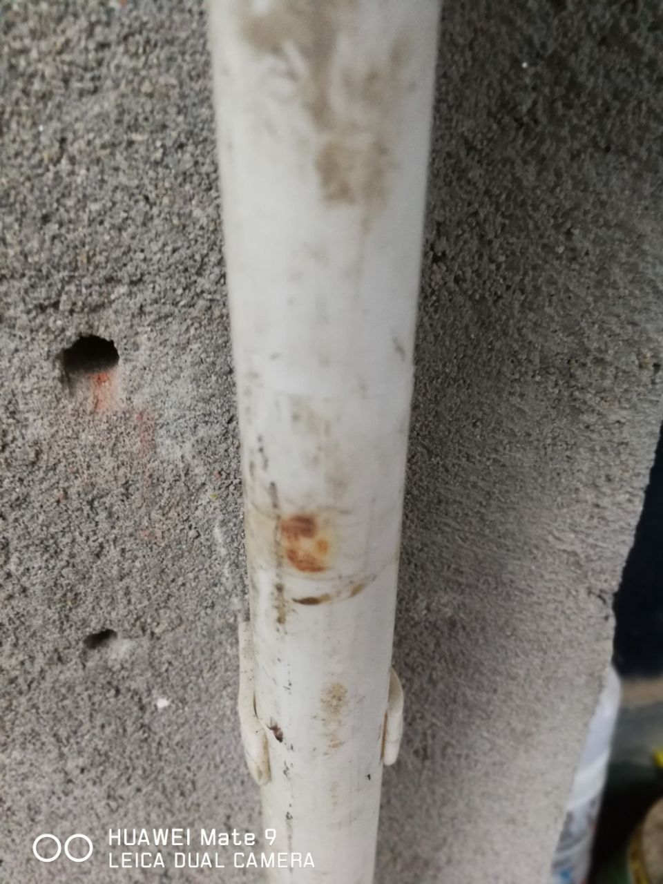 20190522_306501_1558504458305.jpg