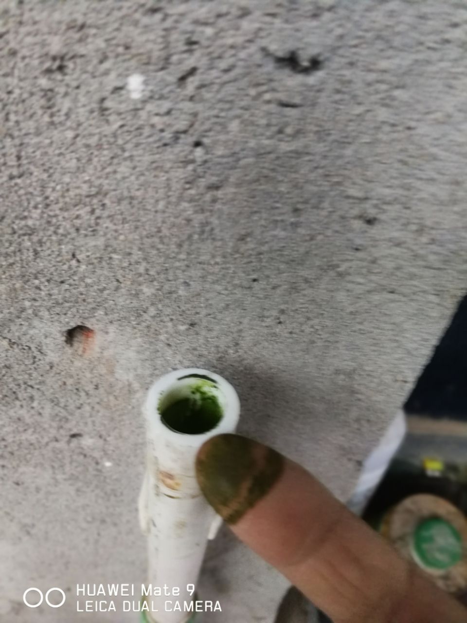 20190522_306501_1558504458672.jpg