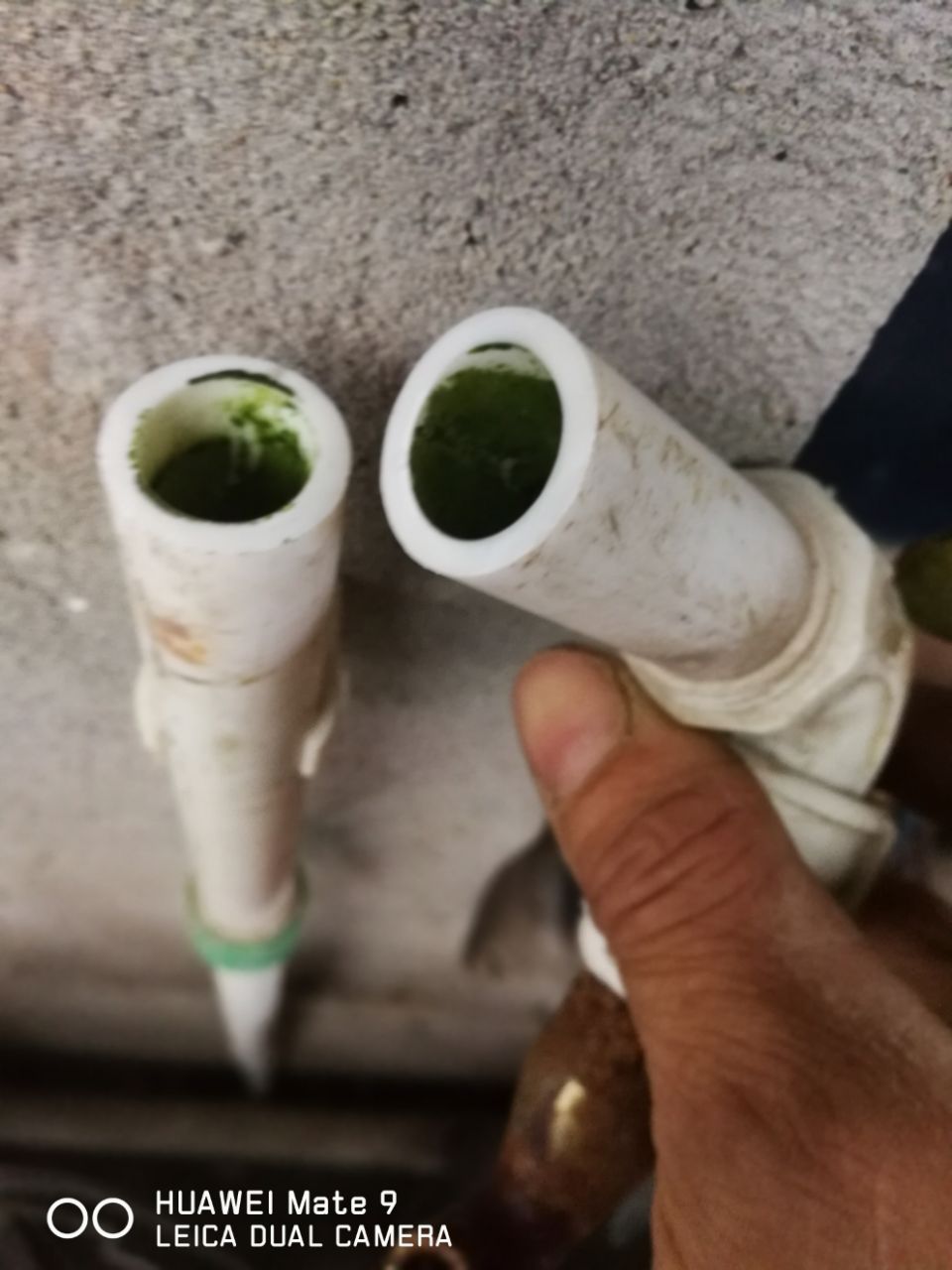 20190522_306501_1558504458853.jpg