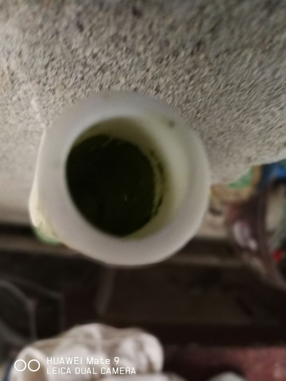 20190522_306501_1558504459179.jpg