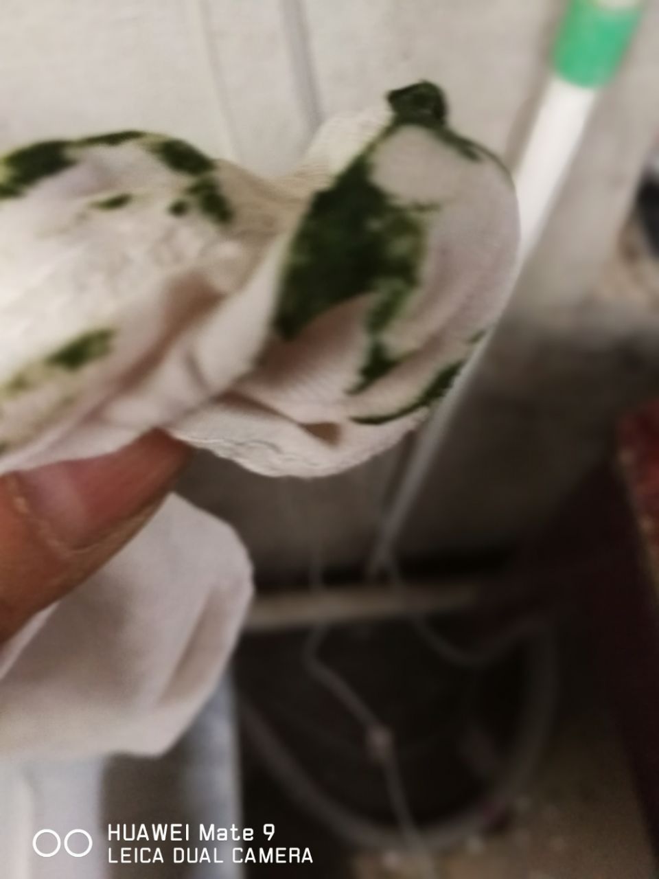 20190522_306501_1558504459021.jpg