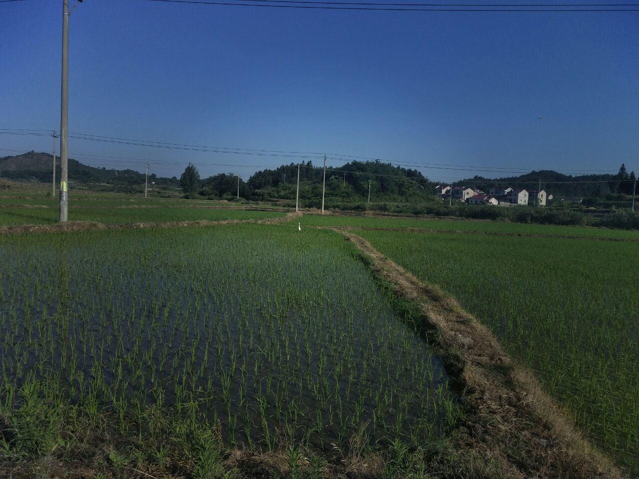20190523_261455_1558569635659.jpg