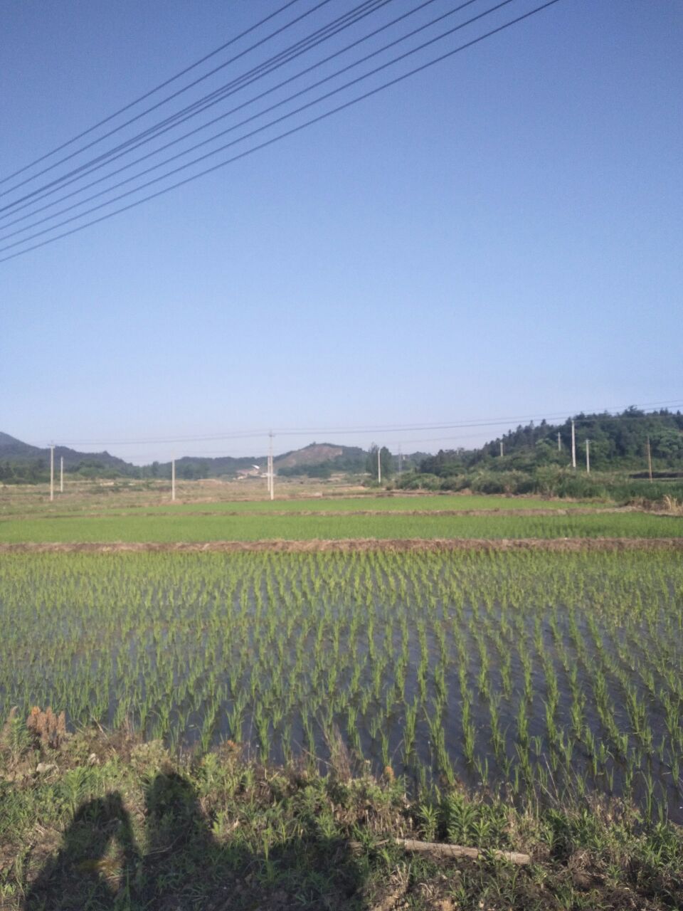 20190523_261455_1558569636203.jpg