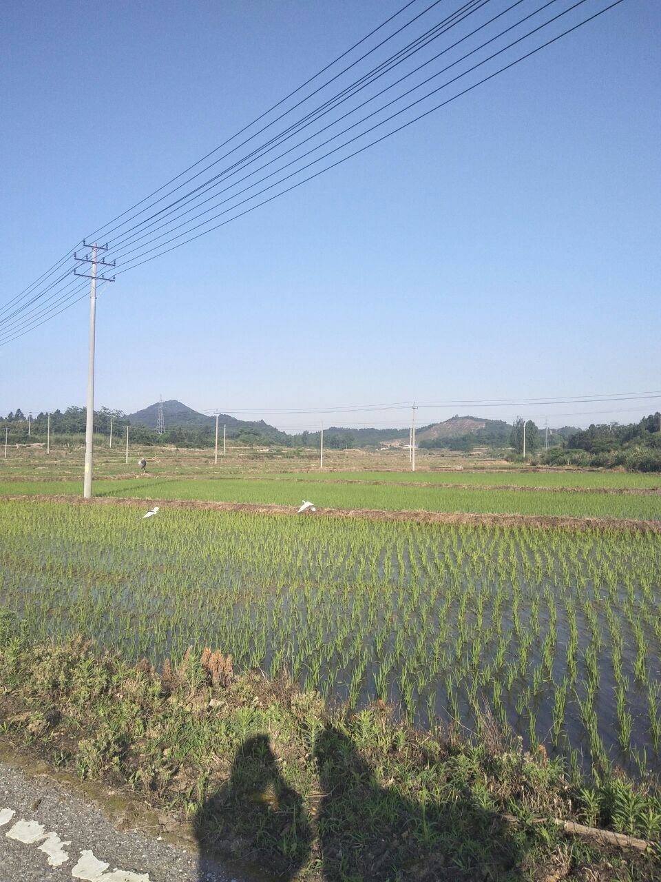 20190523_261455_1558569636728.jpg