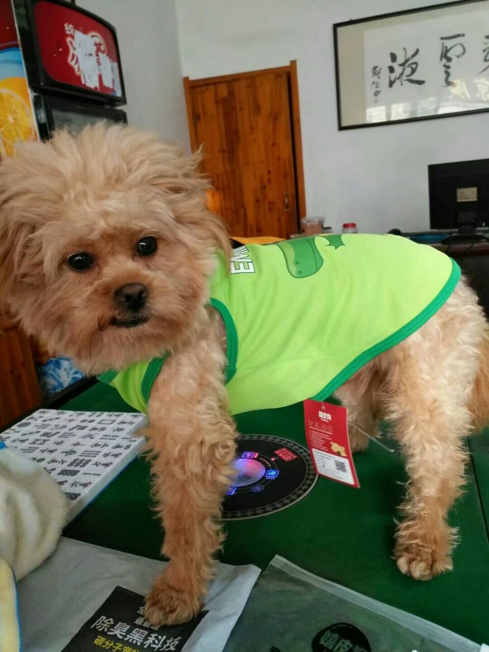 20190526_290263_1558878652959.jpg
