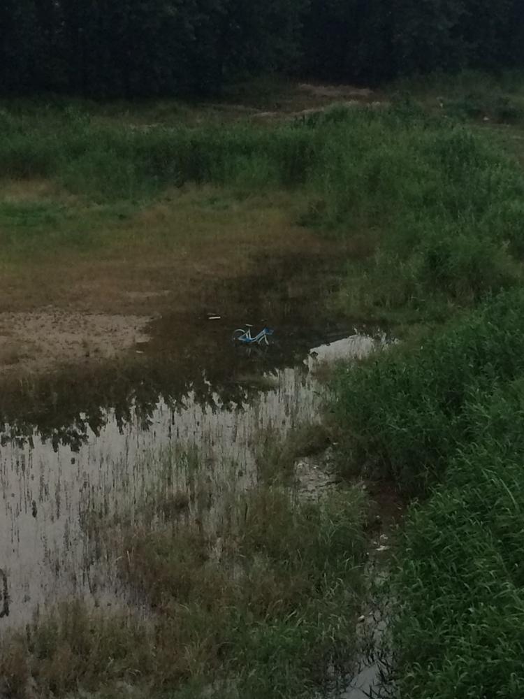 小蓝车在泥潭里沦陷,谁干的?
