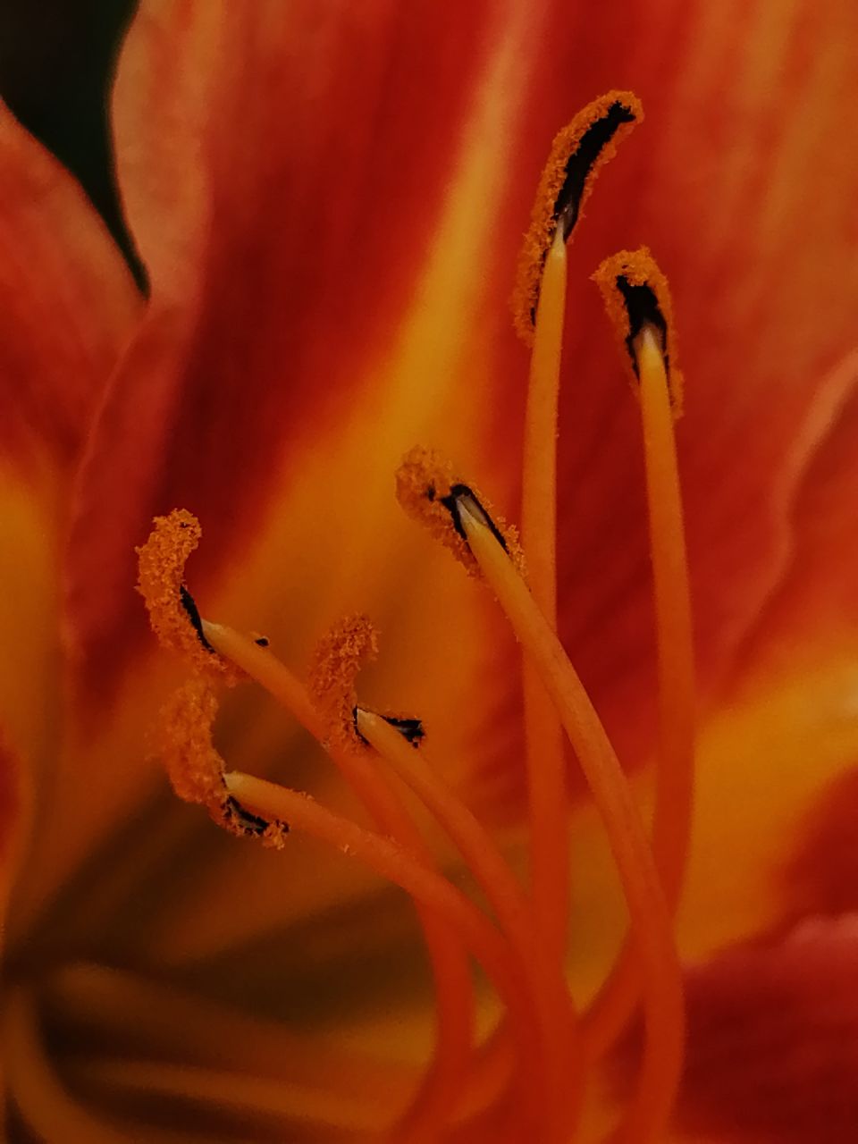 20190601_233786_1559348879366.jpg