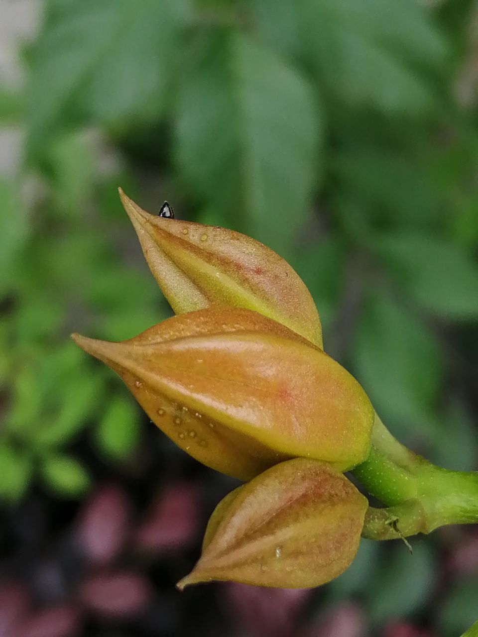 20190601_233786_1559354073161.jpg