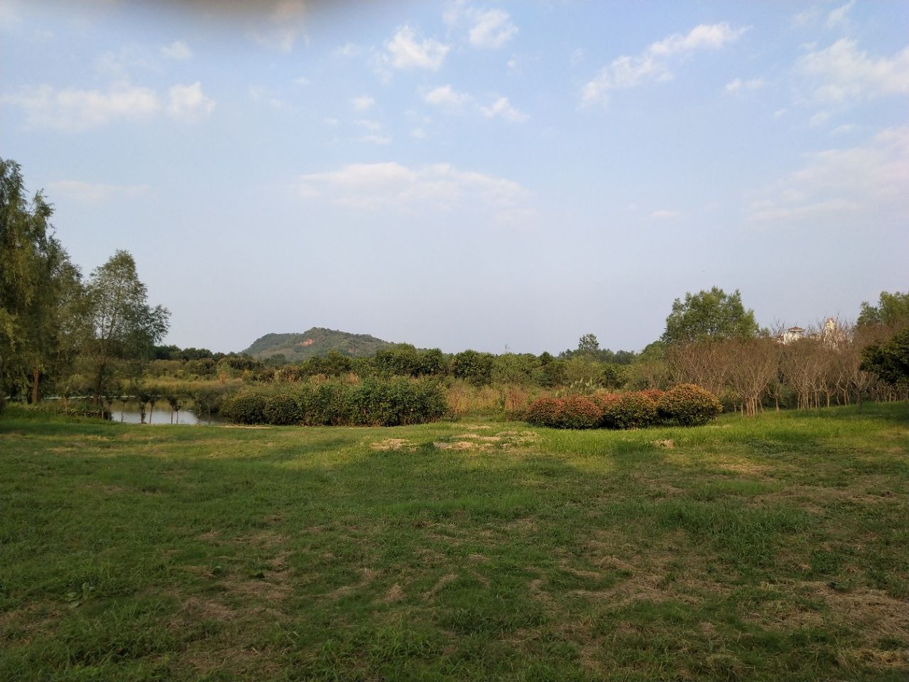 20190602_313365_1559487475062.jpg