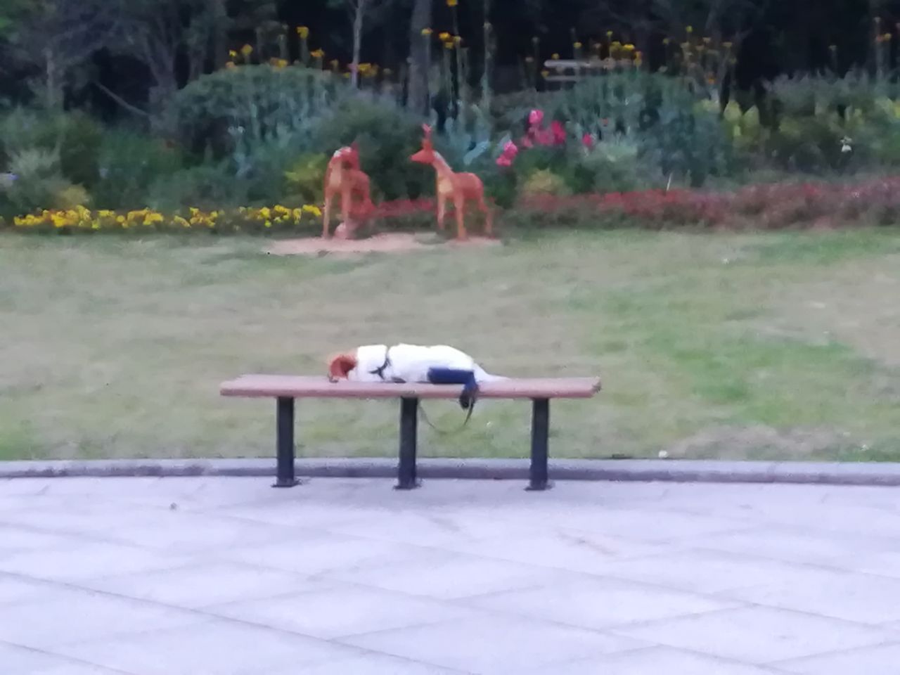20190604_89981_1559651998684.jpg
