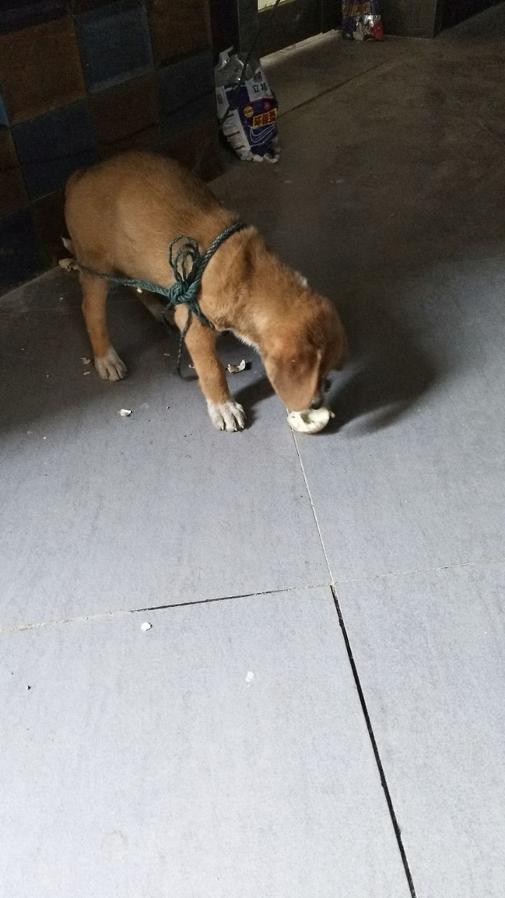 20190605_315257_1559708690168.jpg