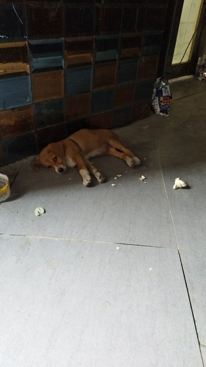 20190605_315257_1559708690628.jpg