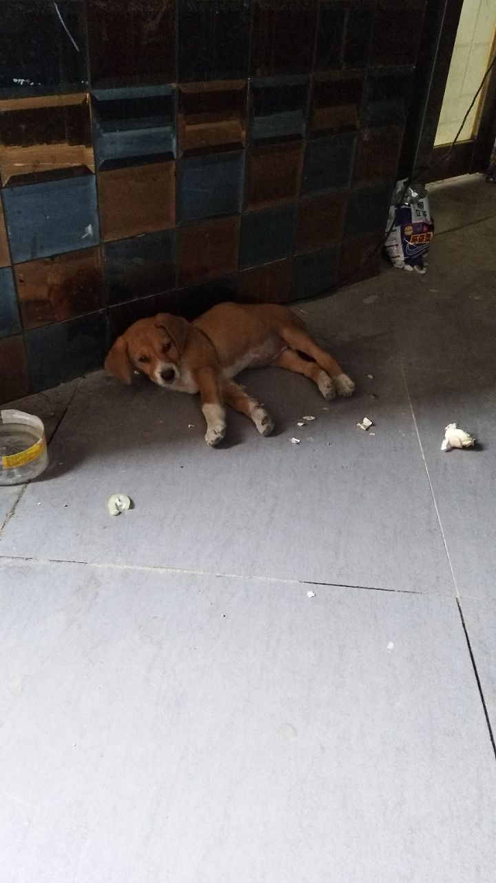 20190605_315257_1559708691005.jpg