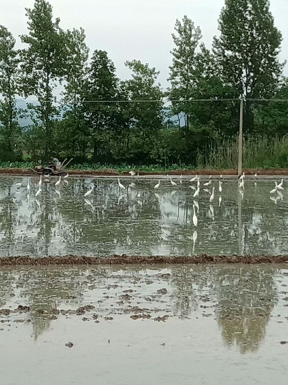 20190605_261455_1559736671715.jpg