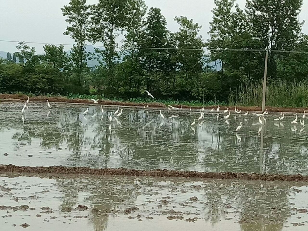 20190605_261455_1559736672216.jpg